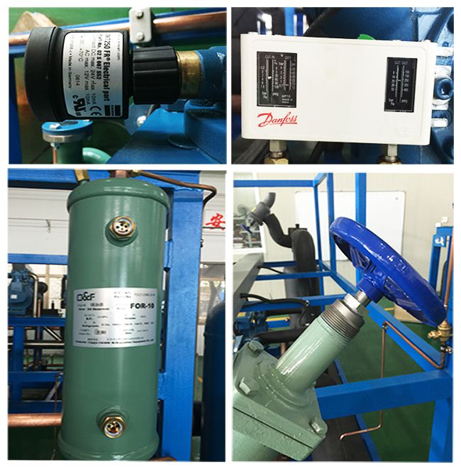 Air Cooled Low Temperature Condensing Unit with Frascold Compressor